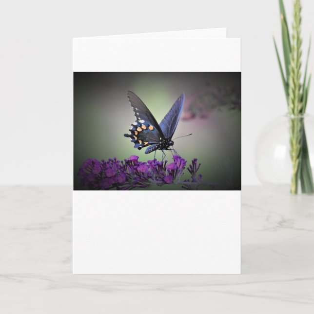 Mariposa, tarjeta (Anverso)