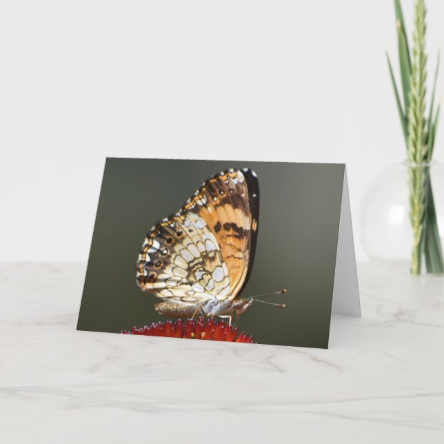 Mariposa, tarjeta (Anverso)