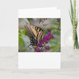 Mariposa, tarjeta