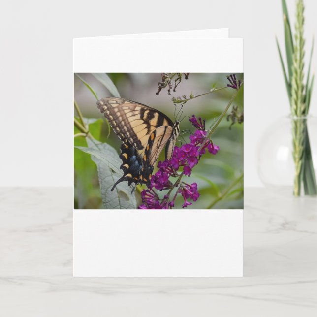 Mariposa, tarjeta (Anverso)