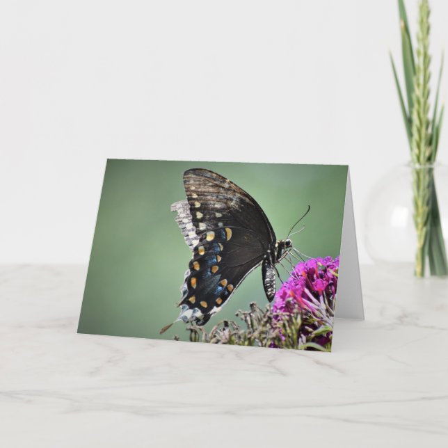 Mariposa, tarjeta (Anverso)