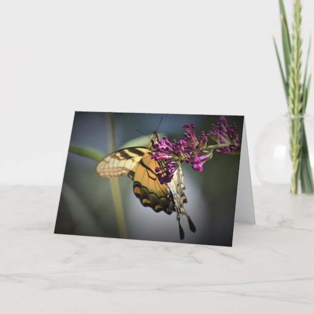 Mariposa, tarjeta (Anverso)