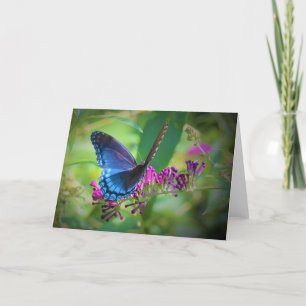 Mariposa, tarjeta