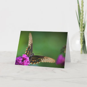 Mariposa, tarjeta