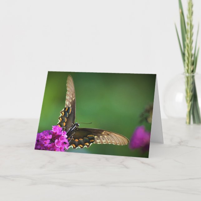 Mariposa, tarjeta (Anverso)