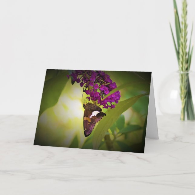 Mariposa, tarjeta (Anverso)