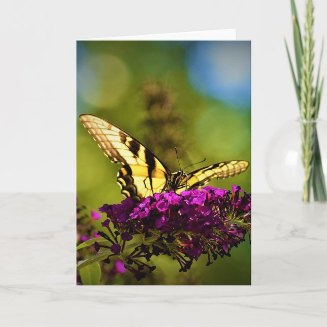 Mariposa, tarjeta (Anverso)