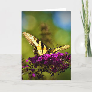 Mariposa, tarjeta