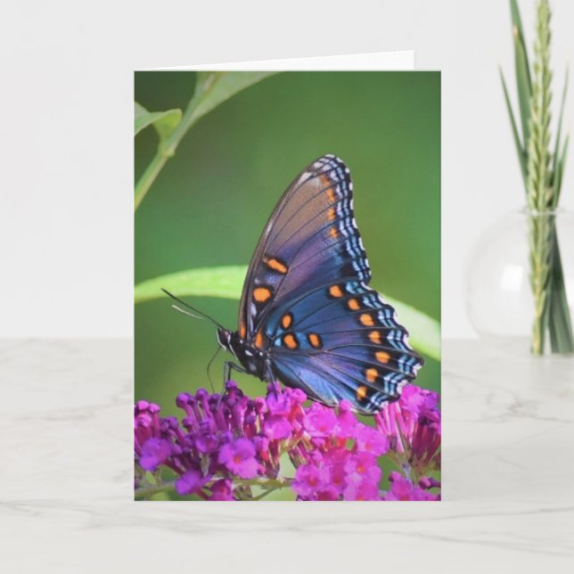 Mariposa, tarjeta (Anverso)