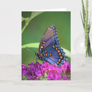 Mariposa, tarjeta