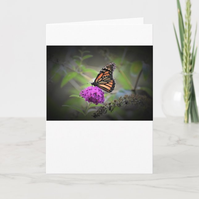 Mariposa, tarjeta (Anverso)
