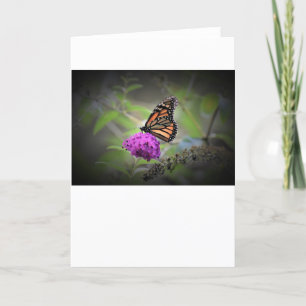 Mariposa, tarjeta
