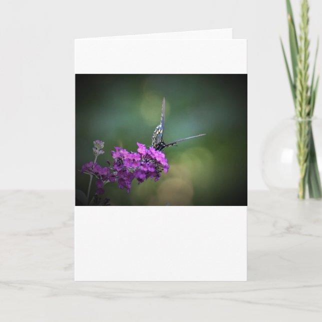 Mariposa, tarjeta (Anverso)