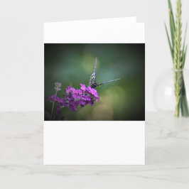 Mariposa, tarjeta