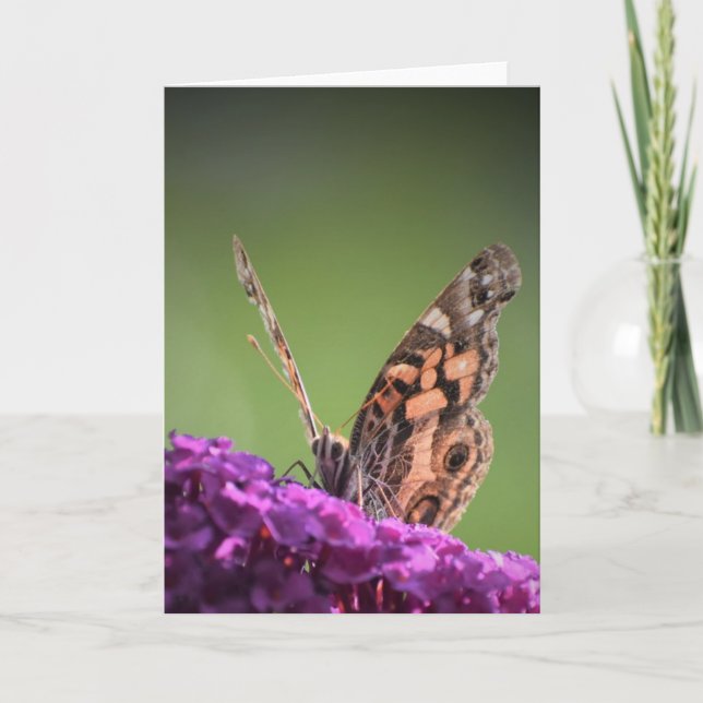 Mariposa, tarjeta (Anverso)
