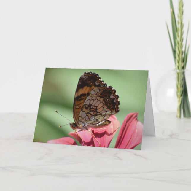 Mariposa, tarjeta (Anverso)