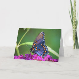 Mariposa, tarjeta