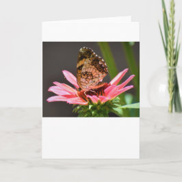 Mariposa, tarjeta