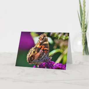 Mariposa, tarjeta