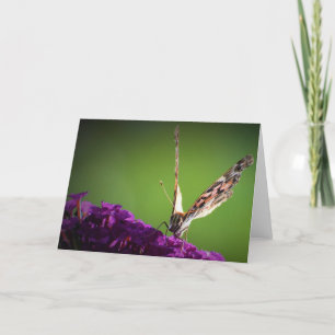 Mariposa, tarjeta