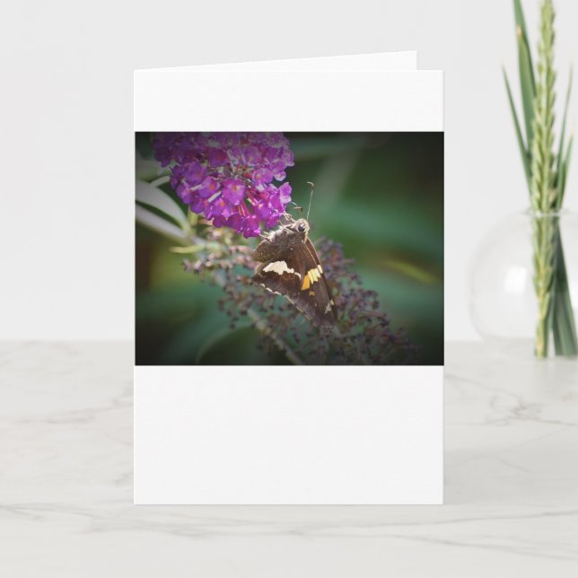 Mariposa, tarjeta (Anverso)