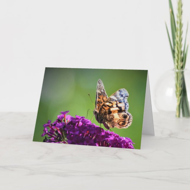 Mariposa, tarjeta (Anverso)