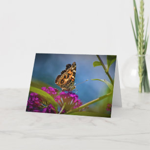Mariposa, tarjeta