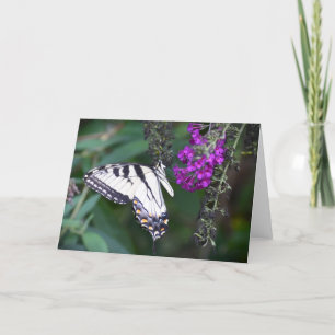 Mariposa, tarjeta