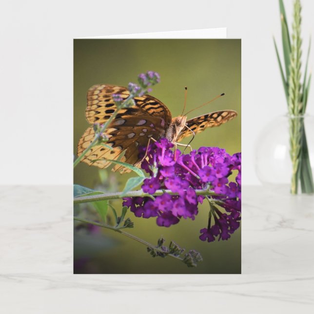 Mariposa, tarjeta (Anverso)