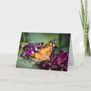 Mariposa, tarjeta