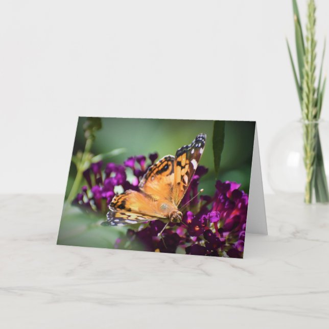 Mariposa, tarjeta (Anverso)