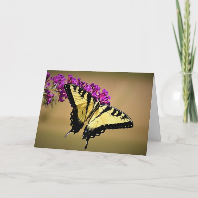 Mariposa, tarjeta (Anverso)