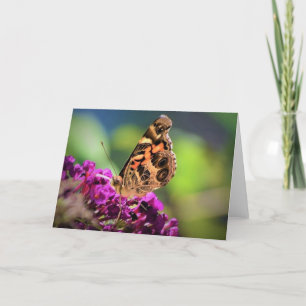 Mariposa, tarjeta