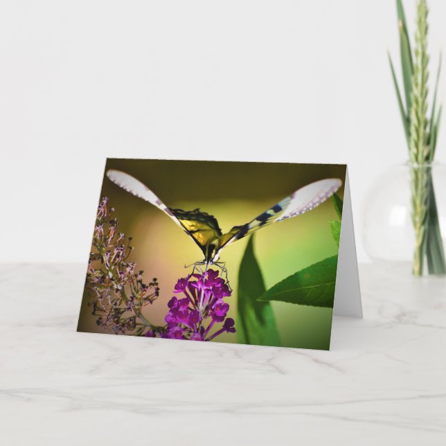 Mariposa, tarjeta (Anverso)