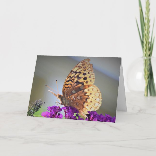 Mariposa, tarjeta (Anverso)