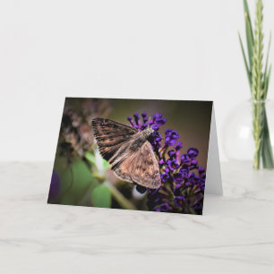 Mariposa, tarjeta