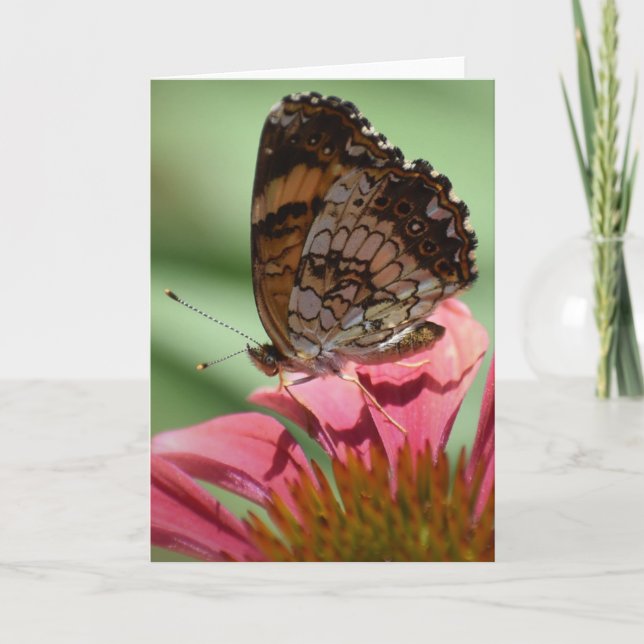 Mariposa, tarjeta (Anverso)