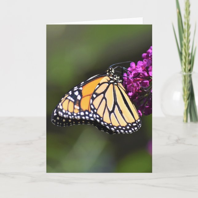 Mariposa, tarjeta (Anverso)