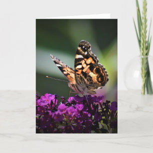 Mariposa, tarjeta