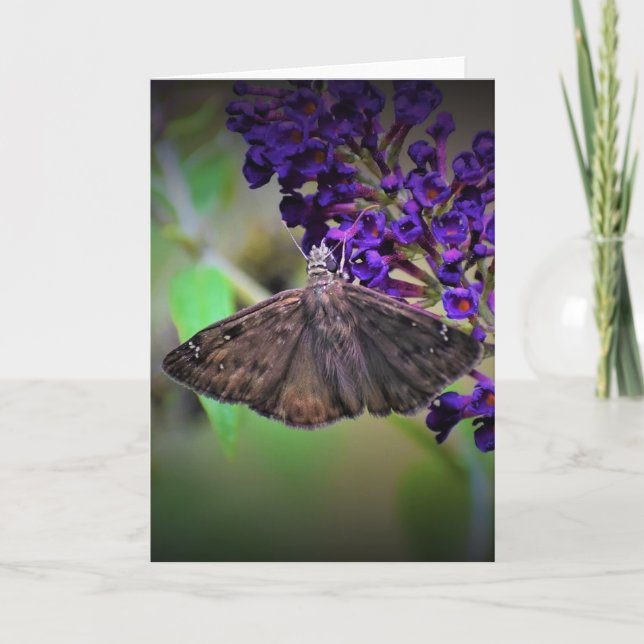 Mariposa, tarjeta (Anverso)