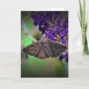 Mariposa, tarjeta