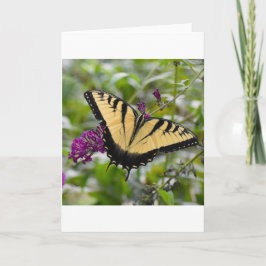 Mariposa, tarjeta