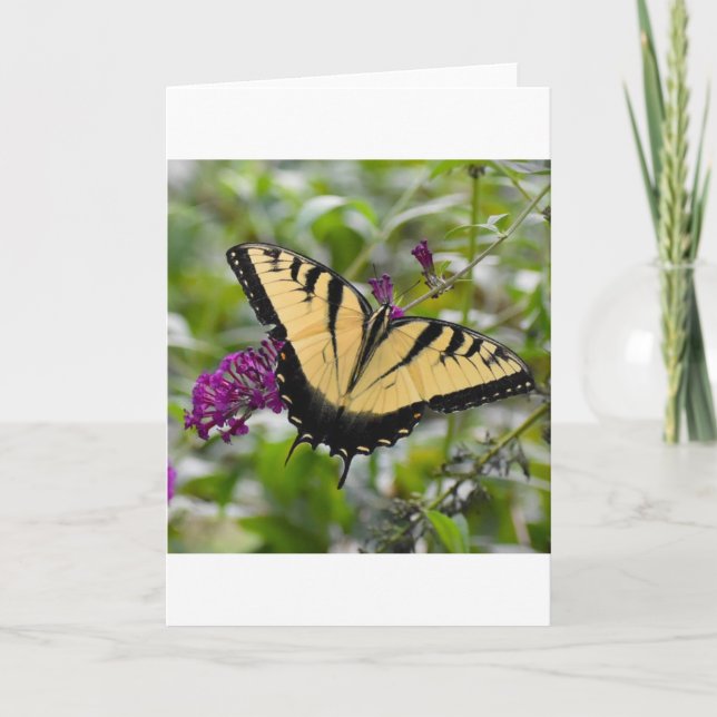 Mariposa, tarjeta (Anverso)