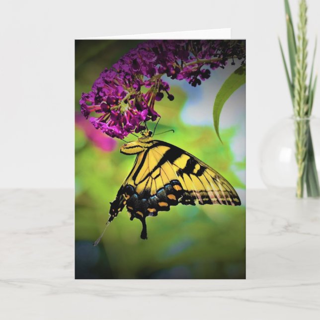 Mariposa, tarjeta (Anverso)