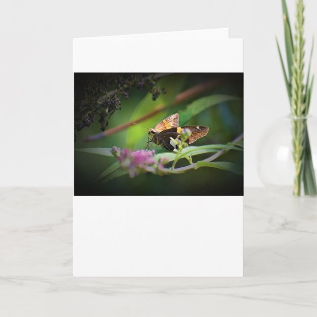 Mariposa, tarjeta (Anverso)