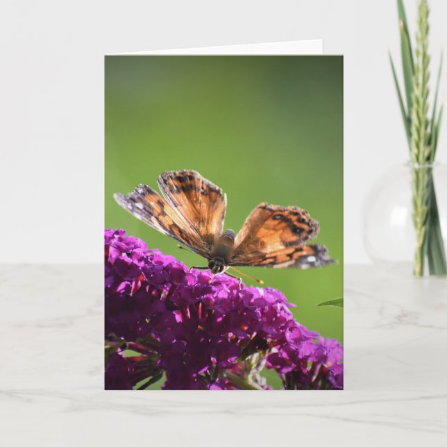 Mariposa, tarjeta (Anverso)