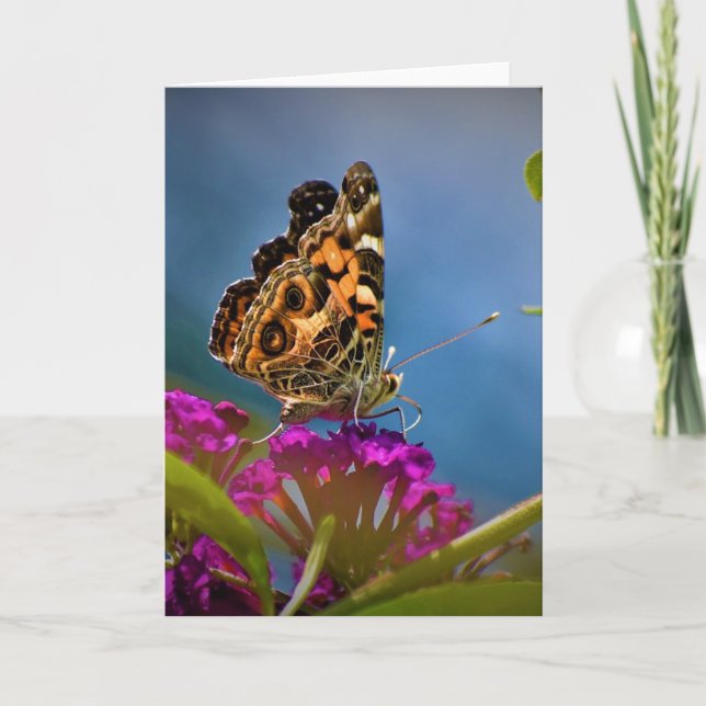 Mariposa, tarjeta (Anverso)