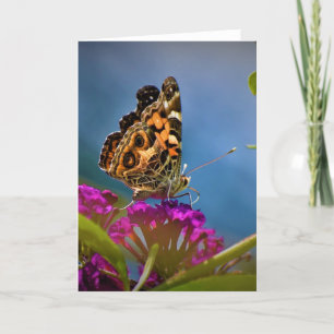 Mariposa, tarjeta