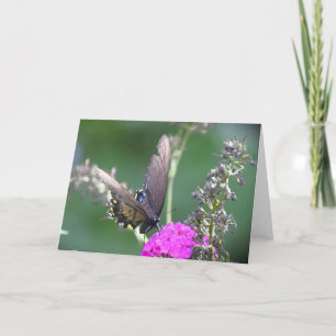 Mariposa, tarjeta