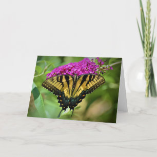 Mariposa, tarjeta